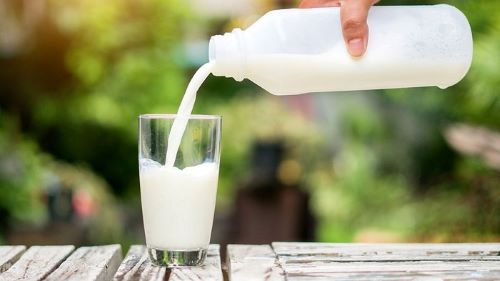 Sữa chứa khoảng 30% nhu cầu canxi cho cơ thể